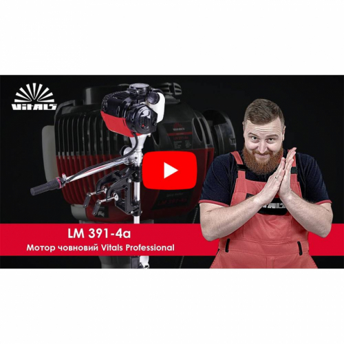 Двигун моторний Vitals Professional LM 391-4a (редуктор двигун)
