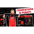 Генератор дизельний Vitals WP 6.5-3de