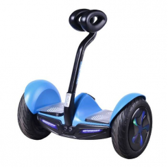 Гіросборт EnerSol E10