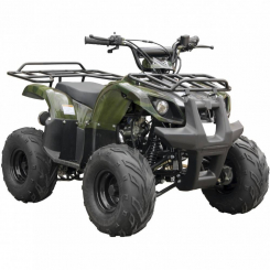 Квадроцикл SP110-3