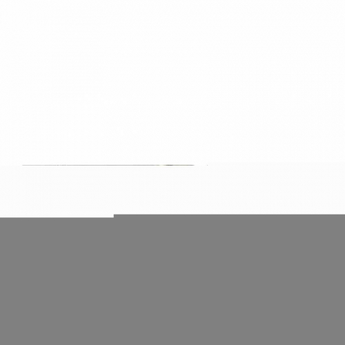 Свердло по металу THUNDERWEB HSS-G MILWAUKEE DIN338, Ø2,5x57мм, (10шт)