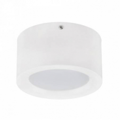 Світлодіодний світильник SANDRA-10 10W білий